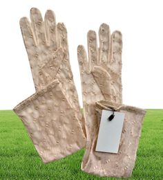 Lettre chic broderie gants en dentelle Suncreen Drive Mittens Femmes Long Mesh Glove With Gift Box7385733