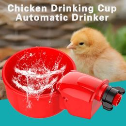Kipdrinker Automatisch water Dispenseren Leerbelaste bediening Kip Drink Cup Automatische drinker Gevechten