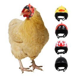 Casque de poulet petit chapeau dur pour animaux de compagnie oiseau canard caille chapeau couvre-chef casque de poulet pour animaux de compagnie casque de tête d'oiseau fournitures pour animaux de compagnie