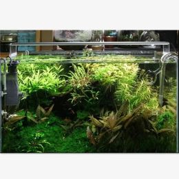 Chihiros Ada Style Planta Grow LED LIGHT A Mini Nano Breve Breve Aquarium Water Plant Tank 8000K