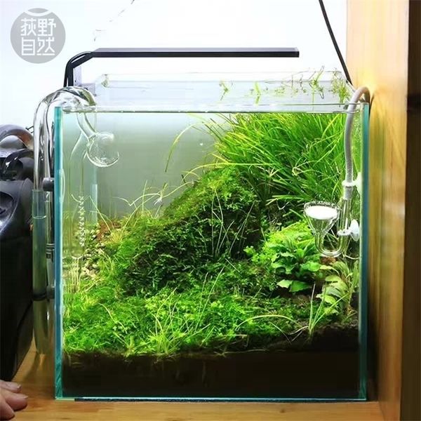 Chihiros C série ADA plante de style grandir lumière LED mini clip rium réservoir de poissons de plantes d'eau est arrivé Y200917