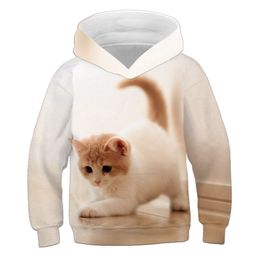 Kinderen Leuke Cat 3D Gedrukt Hoodies Jongens Meisjes Cool Sweatshirts Hoodie Kids Mode Truien Kleding Tops 4T-14T Baby Truien 211110