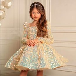 Robe pour enfants femelle Journée des enfants à manches longues à manches à manches longues Pompadour Robe de fête d'anniversaire de la fille de la fille Costume de robe