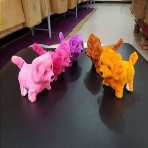 Chien en peluche électrique pour enfants, vente en gros, appel d'animaux de compagnie, lumineux, rembobinera les nouveaux jouets, décrocher le jouet Nplot