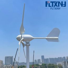 China Factory 1000W Horizontal Wind Turbine Farm 12V 24V 48V Éolienne Générateur avec contrôleur hybride solaire éolien MPPT