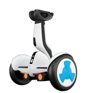 China Fabriekslevering 10Inch Self balance auto hoverboard Scooter Twee wielen Smart LED Electric Self Balance Scooter met spray