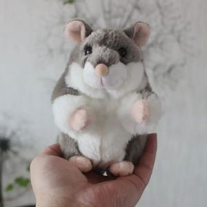 Chinchilla anime mignon hamster peluche toys animaux réels simulation de poupée en peluche kawai cadeaux pour les enfants 240401