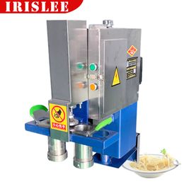 Chinese grootschalige pastaproductiemachines Elektrische keuken Pasta Noodle Maker Persmachine