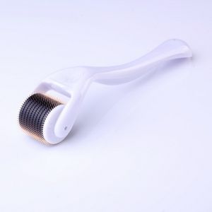 Fabricant chinois vendant le rouleau Derma pour un usage domestique/SPA/salon/vente machines de beauté coréennes pour les soins de la peau Microneedle Skin Roller