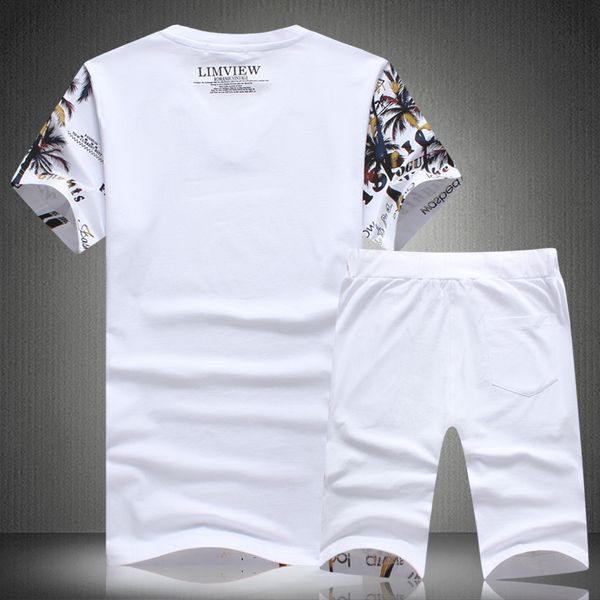 Chinese stijl prachtige vogels patroon afdrukken t-shirt en shorts pak zomer nieuwe hoogwaardige katoenen heren korte sets282U