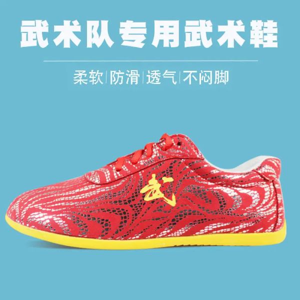 Chaussures chinoises Wushu Taolu Kungfu Chaussures Routine Pratique Arts martiaux Chaussures en cuir pour hommes Femmes Boy Girls Kids Adultes