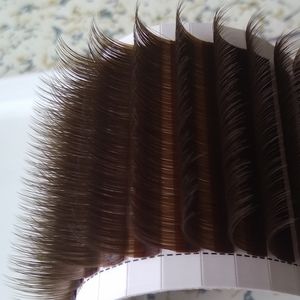 Extensión de pestañas de volumen marrón chocolate Pestañas de camelia marrón Extensiones de pestañas postizas 3D-9D Todos los tamaños 0.07 mm CD Curl 50% de descuento Precio de fábrica