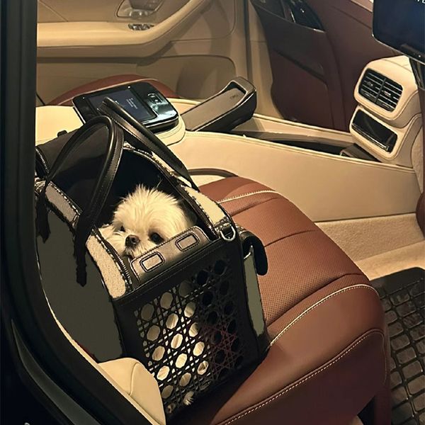 Opción portador de mascotas de lujo cachorro billetera de perros pequeños valises bolso impermeabilizado de cuero premium carto de transporte para viajes al aire libre caminata caminata 3a calidad