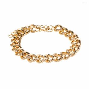 Choker Coconal Punk Fashion Big Necklace For Women Men Twist Gold Color Chunky Dikke Lock Chain Ketters feestjuwelencadeau