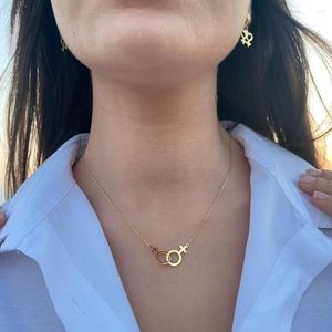 Collier ras du cou en acier inoxydable pour femmes, Double pendentif, symbole de genre, bijoux LGBT, breloque, chaîne de clavicule