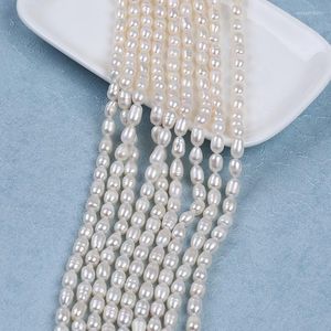 Tour de cou en gros 5.5-6mm perles d'eau douce blanches naturelles fil de perles de riz pour les femmes bijoux Bracelets fabrication de collier