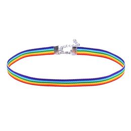 Colliers Gay Pride Rainbow Collier ras du cou pour hommes femmes et dentelle Chocker ruban collier avec pendentif Lgbt bijoux Drop livraison collier Dhz5W