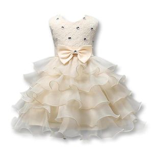 Doopjurk Babykleding 3d Rose Flower Lace Jurk Wedding Feestjurken met vlinder Baby Girl Doop Princess Dress2525877718