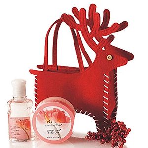 Bolsas de dulces navideñas, bolsa de mano con renos y ciervos de Papá Noel, soporte para regalos, bolsas de regalo de Navidad, bolsillo, grandes Ideas para regalos