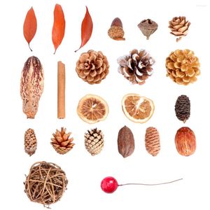 Décorations de Noël 1 ensemble Pinecone DIY Matériel Pine Cône pour Party Dorm Home Store