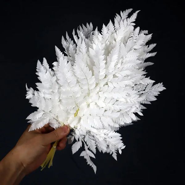 Décorations de Noël 10pcs préservé naturel véritable blanc Arachniodes cuir feuille fougère feuilles fraîches fleurs plantes décoration 231123