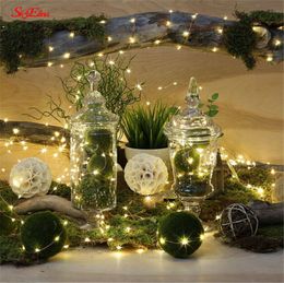 Kerstdecoraties 1m 2m 5m 10m Waterdichte koperdraad LED KABEL LICHT BOEKKAST DIRECTOR STRING LAMP TRUIME TRUIME PARTIJ INDOOR LICHTING 5Z 220914