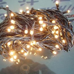 Decoraciones navideñas Bombilla de arroz incandescente de 220 V Cable de PVC Cadena de luz Negro Transparente Uso interior y exterior Decoración navideña