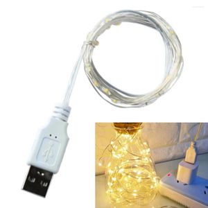 Décorations de Noël 3M 2M 1M USB LED String Lights Cuivre Fil d'argent Guirlande Lumineuse Fée étanche pour la décoration de fête de mariage