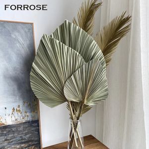 Décorations de Noël 3pcs grandes feuilles de palmier séchées fleurs naturelles taillées décoration d'automne fête art tenture murale boho décor de mariage 231123