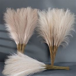 Décorations de Noël 55CM 51020PCS Fluffy Pampas Grass Boho Décor Fleur Faux Plante Reed Simulé Fête De Mariage Décoration De La Maison Fleurs Artificielles 231115