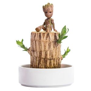 Kerstversiering Brazilië Hout Hydrocultuur Potplant Binnen Lucky Office Desktop Groen Home Decor Fairy Garden 230919