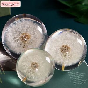 Décorations de Noël Pissenlit Boule de verre en cristal Lentille en résine Plantes naturelles Spécimen Fleurs Boule de cristal Cadeau d'amour de Noël Décoration d'intérieur Boule artisanale 231027