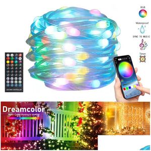 Décorations de Noël Couleur de rêve Light String Music App Control RGB Fairy Lights Birthday Party Mariage Garland Decor USB Power 5V DHEMB