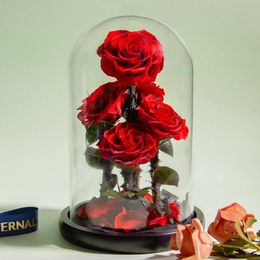 Kerstversiering Eeuwige bewaarde rozen in glazen koepel 5 bloemhoofdjes Rose Forever Love Bruiloft gunst Moederdag Cadeaus voor vrouwen Vriendinnen 230919