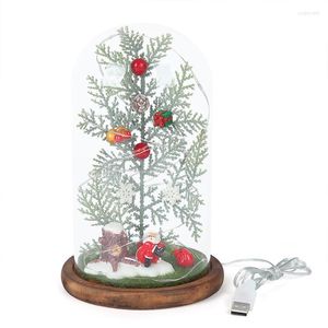 Décorations de noël arbre miniature en dôme de verre ornements cadeaux avec guirlande lumineuse guirlande de mariage lampes à LED décor