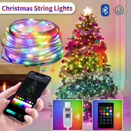 Décorations de Noël WS2812B LED String Light BT RGB Lights Party 5m 10m Music APP RGBIC Dream Color adressable individuellement USB 5V Power 231026