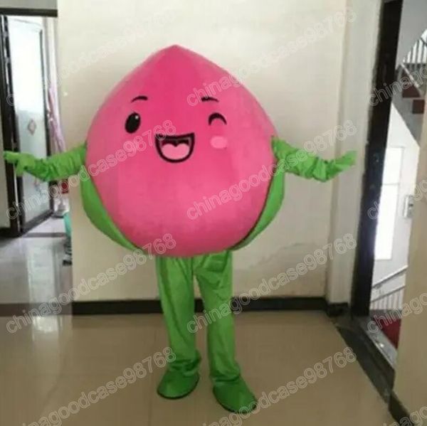 Costume de mascotte de fruits de pêche de Noël, robe de soirée fantaisie d'Halloween, tenue de personnage de dessin animé, tenue de carnaval unisexe, accessoires publicitaires