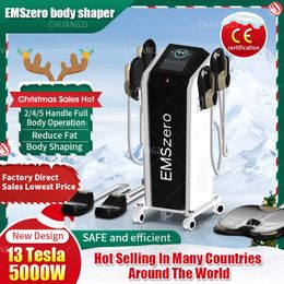 Kerstwinkelen spree DLS-Emslim Neo 13 Tesla Slimming Machine High Power 5000W EMSZERO Neo Body Shaping EMS-bekkenbodemspierstimulatieapparatuur