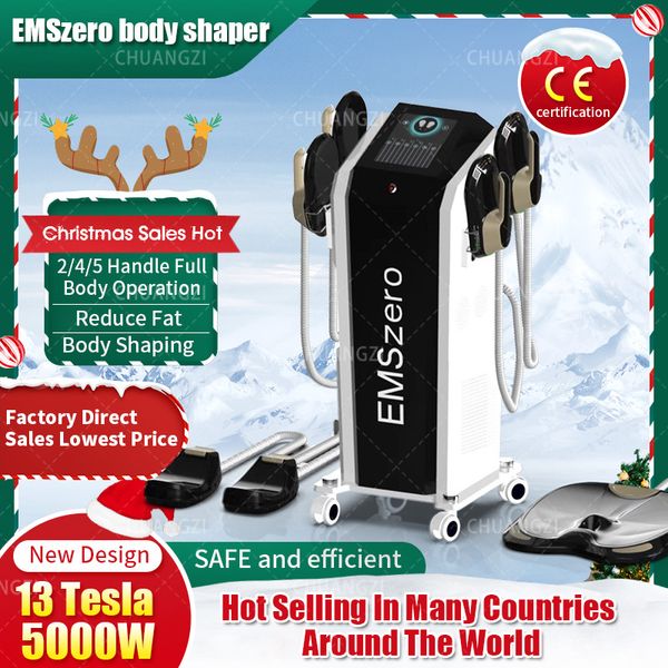 Shopping de Noël DLS-EMSLIM NEO 13 Tesla Minceur Machine Haute Puissance 5000W Emszero NEO Body Shaping EMS Équipement de stimulation musculaire du plancher pelvien