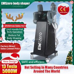 Kerstwinkelen Spree verkopen Neo DLS-Emslim Nova 13 Tesla 5000W High Power 4 RF handgrepen Hi-EMT Body Sculpt EMS-spier Stimuleer EmsZero Machine