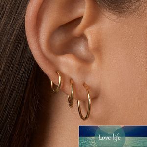 Chunky 1 paire de boucles d'oreilles créoles en acier inoxydable pour femmes couleur or cercle rond oreille anneau boucles d'oreilles Helix Hoop Piercing