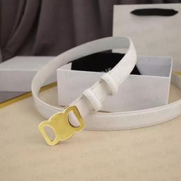 Cintura Active Fashion Quiet Great Litchi Cinturón de diseñador Moda Cinturón con hebilla suave Diseño retro Cinturones de cintura finos para S Cinturones para hombres Hombres