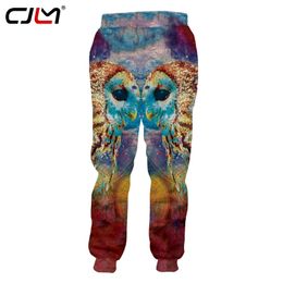 CJLM Unisex Hip Hop Servicio impreso en 3D Búho de colores originales Pantalones de chándal de talla grande personalizados Drop 220613