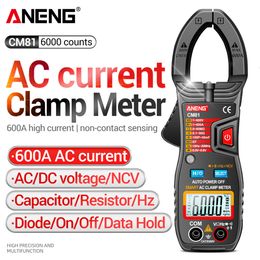 Pinces ampèremétriques ANENG CM80/CM81 Pince ampèremétrique numérique multimètre de courant alternatif ampèremètre testeur de tension voiture Amp Hz capacité NCV Ohm test 230728