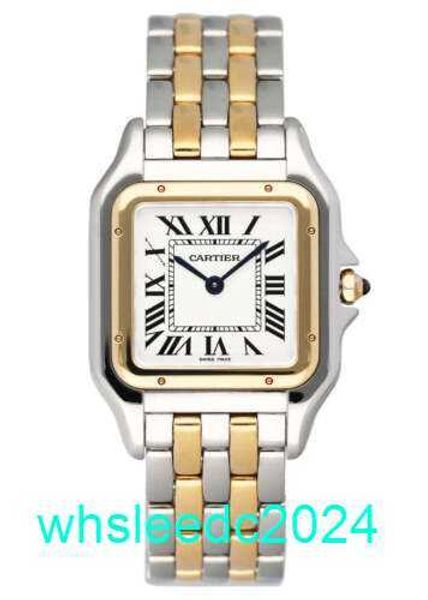Class Watches Carters Panthere W2pn0007 Caja de reloj mediana de dos tonos para mujer, papeles HB2T