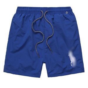 Klassieke grote paard borduurwerk shorts Hoge kwaliteit heren ontwerper zomermode sneldrogend streetwear mode casual strand sportkleding heren korte broek