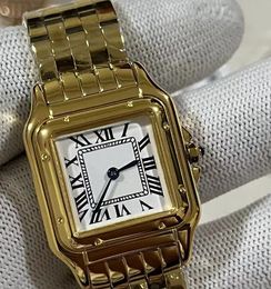 Conception classique Dumont dames quartz batterie montre bracelet en cuir hommes femmes montre suqar montre en acier inoxydable montre