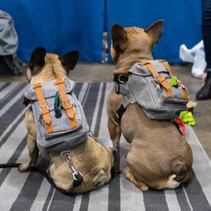 Klassieke Hond Rugzak Harnas Vest Britse Stijl Verstelbare Outdoor Tas Veiligheid Voertuig Lood Huisdier Puppy Wandelen Autostoelhoezen3009