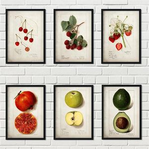 Klassieke fruittypen canvas schilderen antieke retro fruitposters en print peer appel ananas muur kunst keuken eetkamer decor foto geen frame wo6