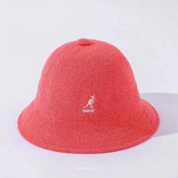 Klassieke gebreide kangaroo Beret_ Wild Painter Wol Tide Hat voor vrouwen stijlvol, duurzaam veelzijdig van C2